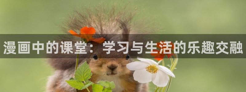 picacg(哔咔漫画)最新版